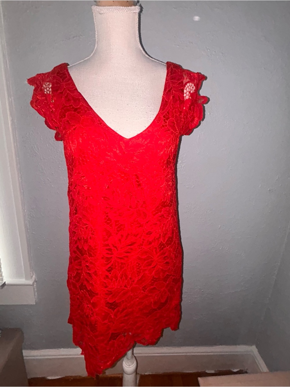 Red Floral Lace V-Neck Dress by BB Dakota size xs